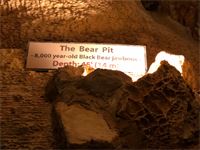 Read the sign