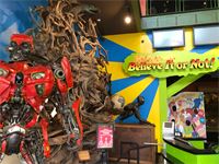 This place is awesome!